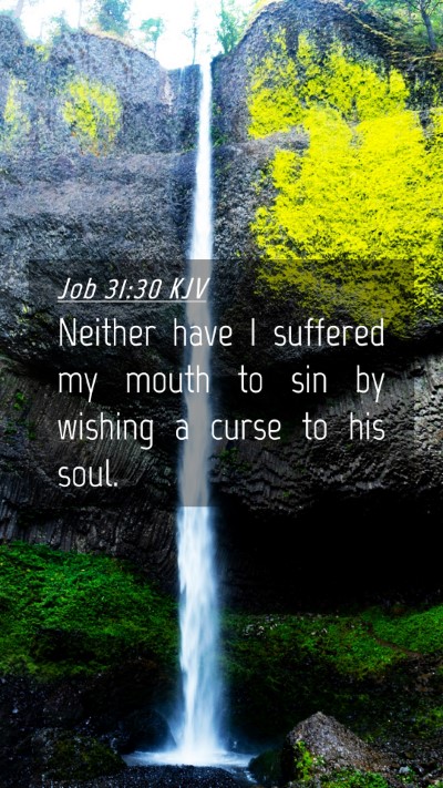 Picture 04 - Job 31:30 KJV Mobile Phone Wallpaper - Neither have I suffered my mouth to sin by - Mobile Bible Verse Wallpaper