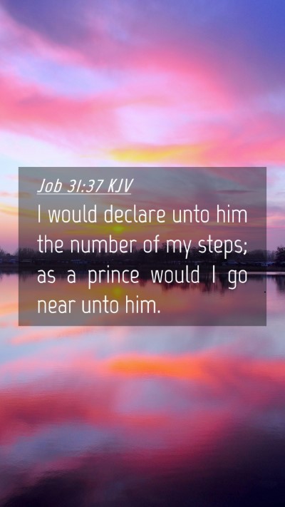 Picture 04 - Job 31:37 KJV Mobile Phone Wallpaper - I would declare unto him the number of my steps; - Mobile Bible Verse Wallpaper