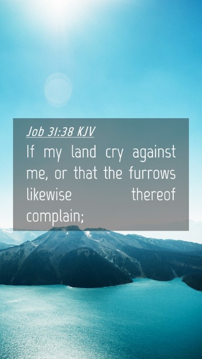 Picture 04 - Job 31:38 KJV Mobile Phone Wallpaper - If my land cry against me, or that the furrows - Mobile Bible Verse Wallpaper