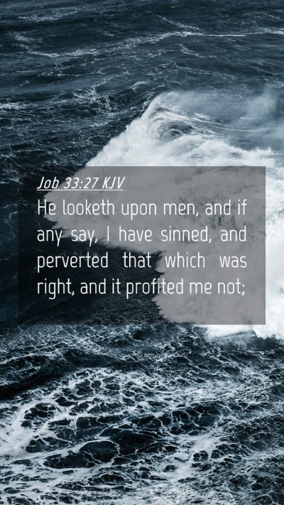 Picture 04 - Job 33:27 KJV Mobile Phone Wallpaper - He looketh upon men, and if any say, I have - Mobile Bible Verse Wallpaper
