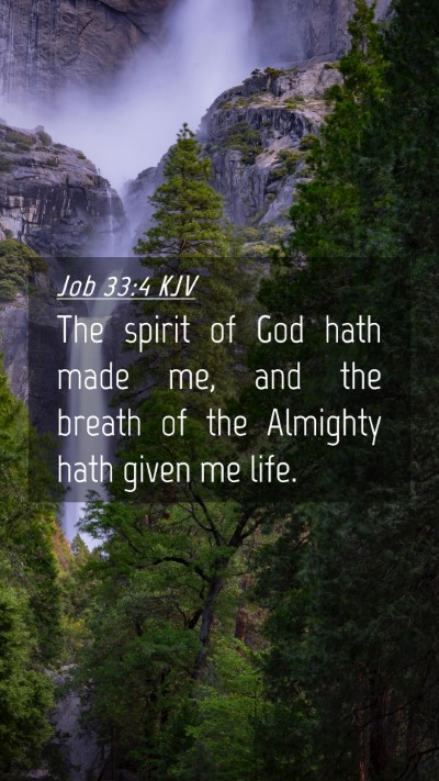 Picture 04 - Job 33:4 KJV Mobile Phone Wallpaper - The spirit of God hath made me, and the breath of - Mobile Bible Verse Wallpaper