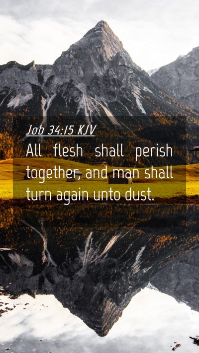 Picture 04 - Job 34:15 KJV Mobile Phone Wallpaper - All flesh shall perish together, and man shall - Mobile Bible Verse Wallpaper