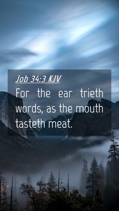 Picture 04 - Job 34:3 KJV Mobile Phone Wallpaper - For the ear trieth words, as the mouth tasteth - Mobile Bible Verse Wallpaper