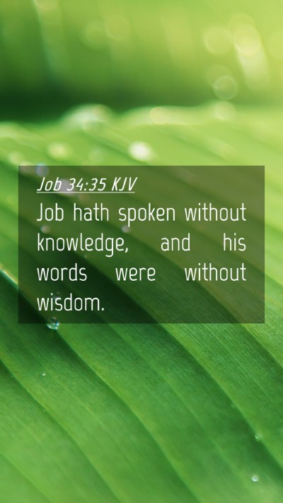 Picture 04 - Job 34:35 KJV Mobile Phone Wallpaper - Job hath spoken without knowledge, and his words - Mobile Bible Verse Wallpaper