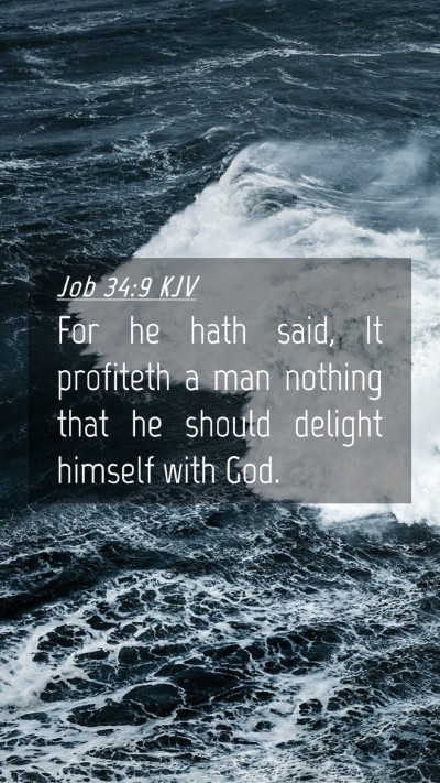 Picture 04 - Job 34:9 KJV Mobile Phone Wallpaper - For he hath said, It profiteth a man nothing that - Mobile Bible Verse Wallpaper