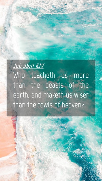 Picture 04 - Job 35:11 KJV Mobile Phone Wallpaper - Who teacheth us more than the beasts of the - Mobile Bible Verse Wallpaper