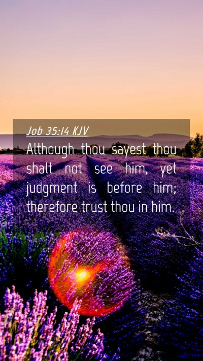 Picture 04 - Job 35:14 KJV Mobile Phone Wallpaper - Although thou sayest thou shalt not see him, yet - Mobile Bible Verse Wallpaper