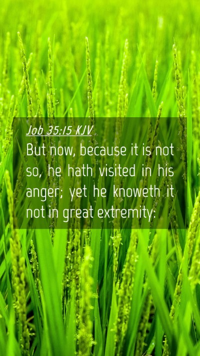 Picture 04 - Job 35:15 KJV Mobile Phone Wallpaper - But now, because it is not so, he hath visited in - Mobile Bible Verse Wallpaper
