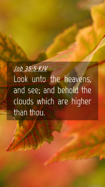 Picture 04 - Job 35:5 KJV Mobile Phone Wallpaper - Look unto the heavens, and see; and behold the - Mobile Bible Verse Wallpaper