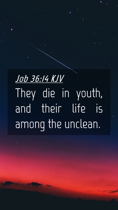 Picture 04 - Job 36:14 KJV Mobile Phone Wallpaper - They die in youth, and their life is among the - Mobile Bible Verse Wallpaper