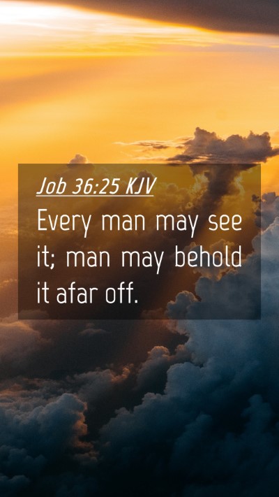 Picture 04 - Job 36:25 KJV Mobile Phone Wallpaper - Every man may see it; man may behold it afar - Mobile Bible Verse Wallpaper