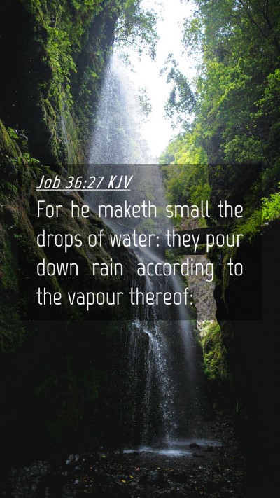 Picture 04 - Job 36:27 KJV Mobile Phone Wallpaper - For he maketh small the drops of water: they pour - Mobile Bible Verse Wallpaper
