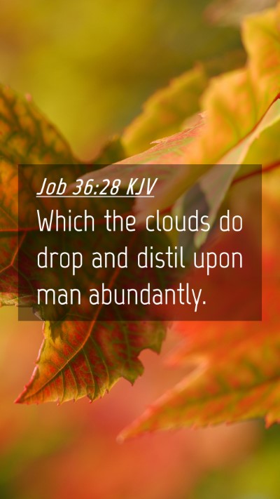 Picture 04 - Job 36:28 KJV Mobile Phone Wallpaper - Which the clouds do drop and distil upon man - Mobile Bible Verse Wallpaper