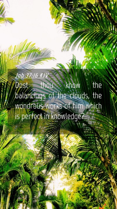 Picture 04 - Job 37:16 KJV Mobile Phone Wallpaper - Dost thou know the balancings of the clouds, the - Mobile Bible Verse Wallpaper