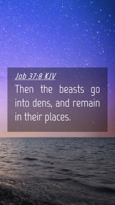 Picture 04 - Job 37:8 KJV Mobile Phone Wallpaper - Then the beasts go into dens, and remain in their - Mobile Bible Verse Wallpaper