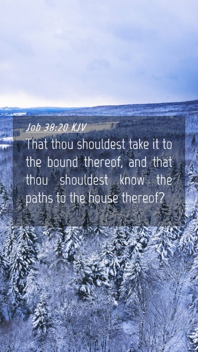 Picture 04 - Job 38:20 KJV Mobile Phone Wallpaper - That thou shouldest take it to the bound thereof, - Mobile Bible Verse Wallpaper