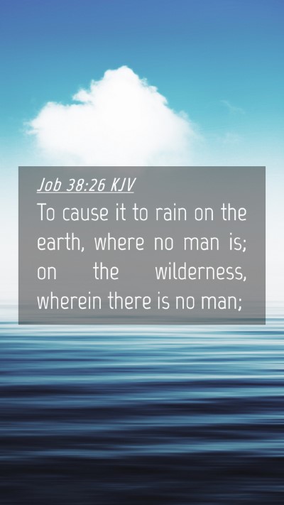 Picture 04 - Job 38:26 KJV Mobile Phone Wallpaper - To cause it to rain on the earth, where no man - Mobile Bible Verse Wallpaper