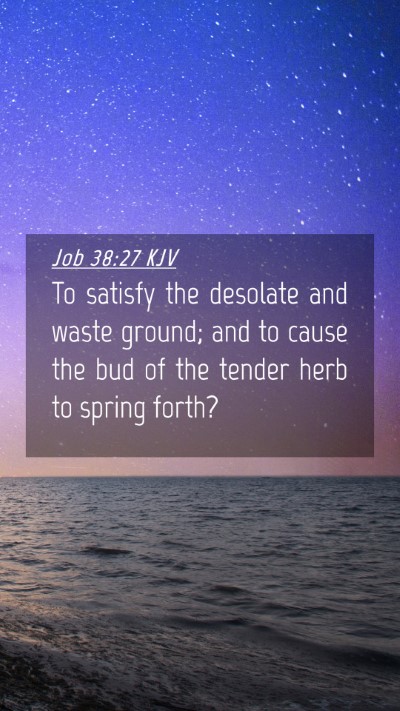 Picture 04 - Job 38:27 KJV Mobile Phone Wallpaper - To satisfy the desolate and waste ground; and to - Mobile Bible Verse Wallpaper