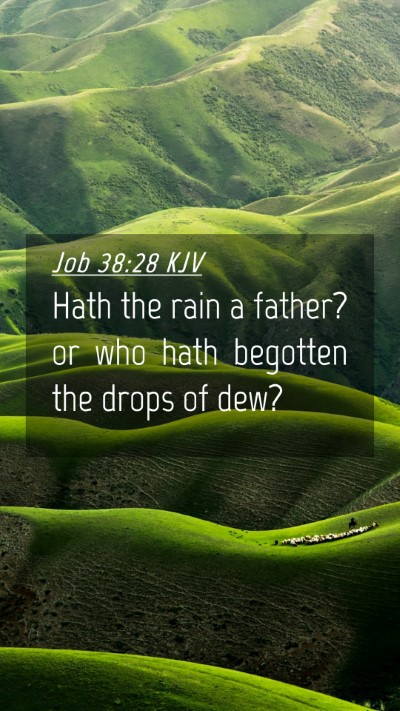 Picture 04 - Job 38:28 KJV Mobile Phone Wallpaper - Hath the rain a father? or who hath begotten the - Mobile Bible Verse Wallpaper