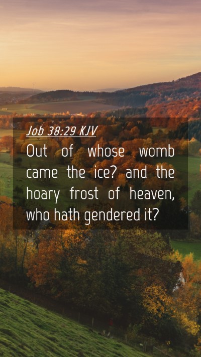 Picture 04 - Job 38:29 KJV Mobile Phone Wallpaper - Out of whose womb came the ice? and the hoary - Mobile Bible Verse Wallpaper