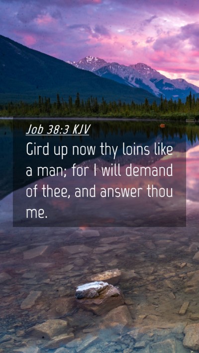 Picture 04 - Job 38:3 KJV Mobile Phone Wallpaper - Gird up now thy loins like a man; for I will - Mobile Bible Verse Wallpaper