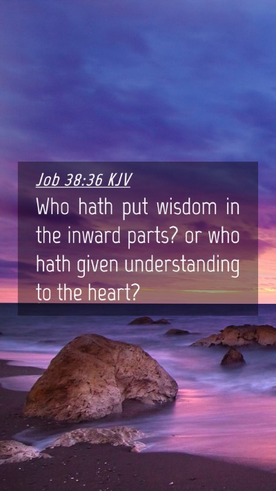 Picture 04 - Job 38:36 KJV Mobile Phone Wallpaper - Who hath put wisdom in the inward parts? or who - Mobile Bible Verse Wallpaper