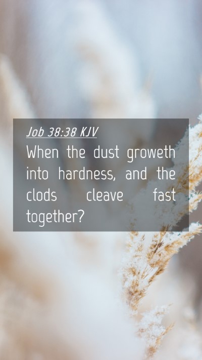 Picture 04 - Job 38:38 KJV Mobile Phone Wallpaper - When the dust groweth into hardness, and the - Mobile Bible Verse Wallpaper