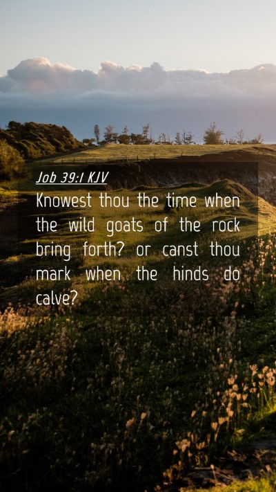 Picture 04 - Job 39:1 KJV Mobile Phone Wallpaper - Knowest thou the time when the wild goats of the - Mobile Bible Verse Wallpaper