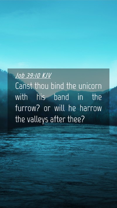 Picture 04 - Job 39:10 KJV Mobile Phone Wallpaper - Canst thou bind the unicorn with his band in the - Mobile Bible Verse Wallpaper