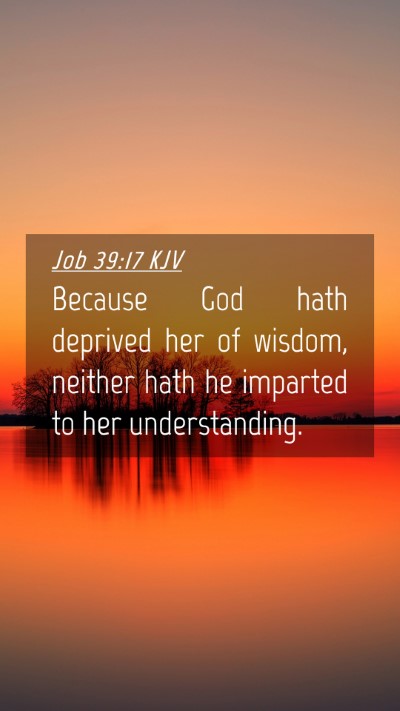 Picture 04 - Job 39:17 KJV Mobile Phone Wallpaper - Because God hath deprived her of wisdom, neither - Mobile Bible Verse Wallpaper