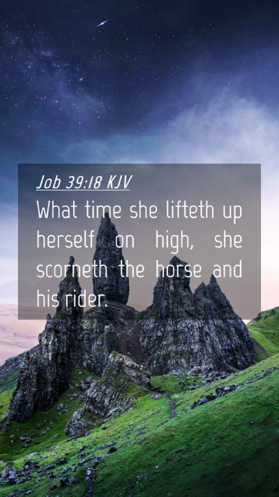 Picture 04 - Job 39:18 KJV Mobile Phone Wallpaper - What time she lifteth up herself on high, she - Mobile Bible Verse Wallpaper