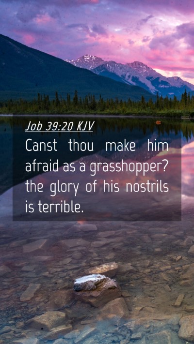 Picture 04 - Job 39:20 KJV Mobile Phone Wallpaper - Canst thou make him afraid as a grasshopper? the - Mobile Bible Verse Wallpaper
