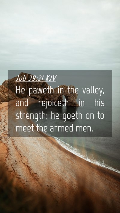 Picture 04 - Job 39:21 KJV Mobile Phone Wallpaper - He paweth in the valley, and rejoiceth in his - Mobile Bible Verse Wallpaper