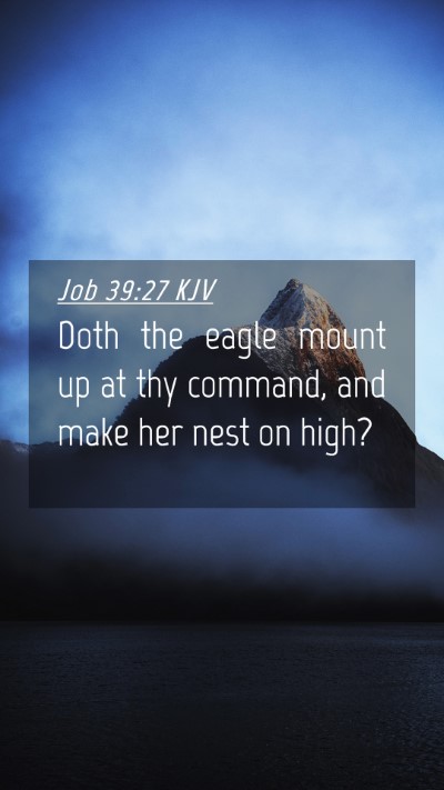 Picture 04 - Job 39:27 KJV Mobile Phone Wallpaper - Doth the eagle mount up at thy command, and make - Mobile Bible Verse Wallpaper
