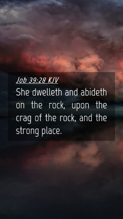 Picture 04 - Job 39:28 KJV Mobile Phone Wallpaper - She dwelleth and abideth on the rock, upon the - Mobile Bible Verse Wallpaper