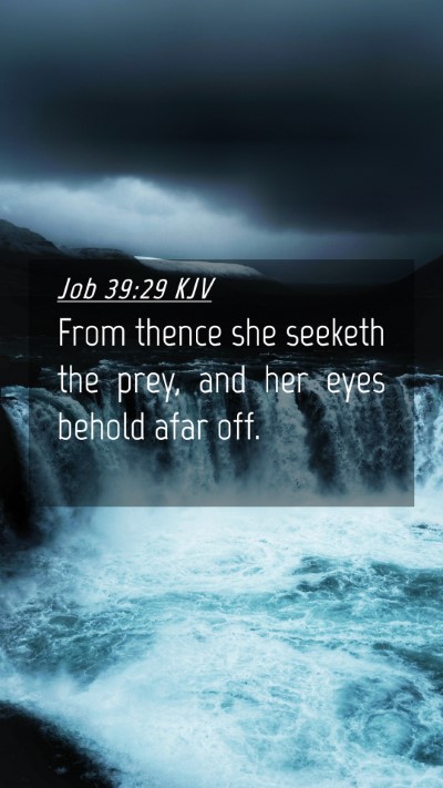 Picture 04 - Job 39:29 KJV Mobile Phone Wallpaper - From thence she seeketh the prey, and her eyes - Mobile Bible Verse Wallpaper