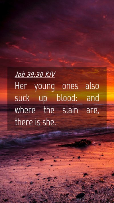 Picture 04 - Job 39:30 KJV Mobile Phone Wallpaper - Her young ones also suck up blood: and where the - Mobile Bible Verse Wallpaper