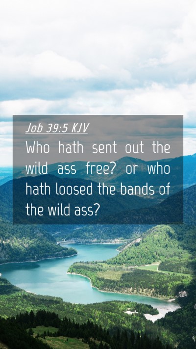 Picture 04 - Job 39:5 KJV Mobile Phone Wallpaper - Who hath sent out the wild ass free? or who hath - Mobile Bible Verse Wallpaper