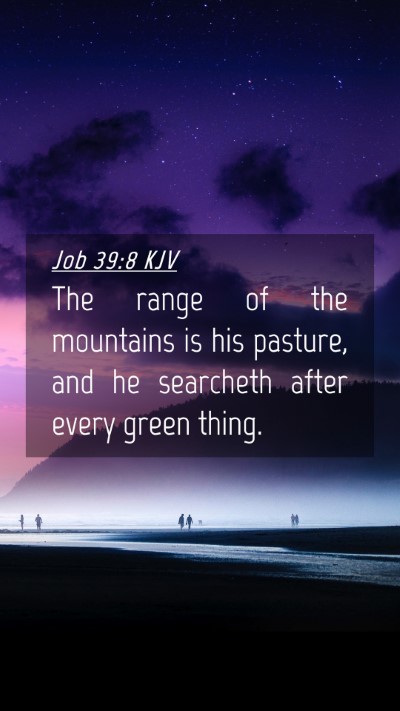 Picture 04 - Job 39:8 KJV Mobile Phone Wallpaper - The range of the mountains is his pasture, and he - Mobile Bible Verse Wallpaper