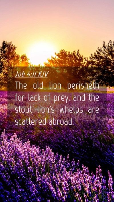 Picture 04 - Job 4:11 KJV Mobile Phone Wallpaper - The old lion perisheth for lack of prey, and the - Mobile Bible Verse Wallpaper