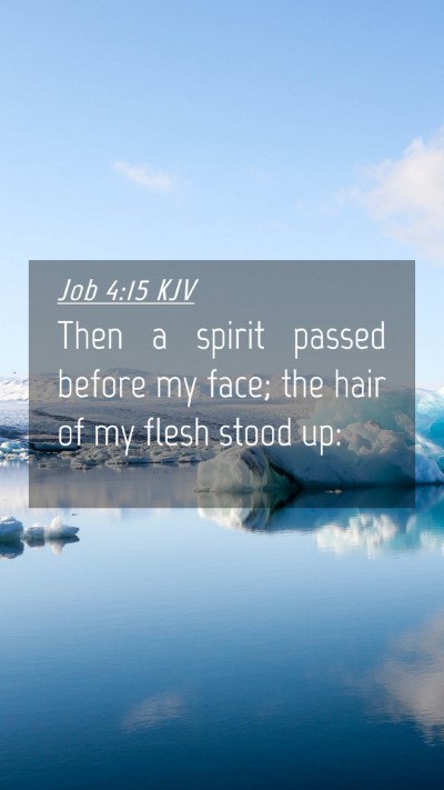 Picture 04 - Job 4:15 KJV Mobile Phone Wallpaper - Then a spirit passed before my face; the hair of - Mobile Bible Verse Wallpaper