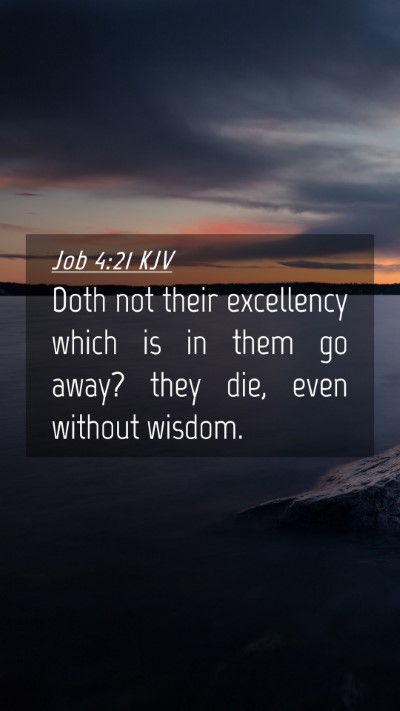 Picture 04 - Job 4:21 KJV Mobile Phone Wallpaper - Doth not their excellency which is in them go - Mobile Bible Verse Wallpaper