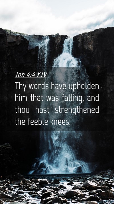 Picture 04 - Job 4:4 KJV Mobile Phone Wallpaper - Thy words have upholden him that was falling, and - Mobile Bible Verse Wallpaper