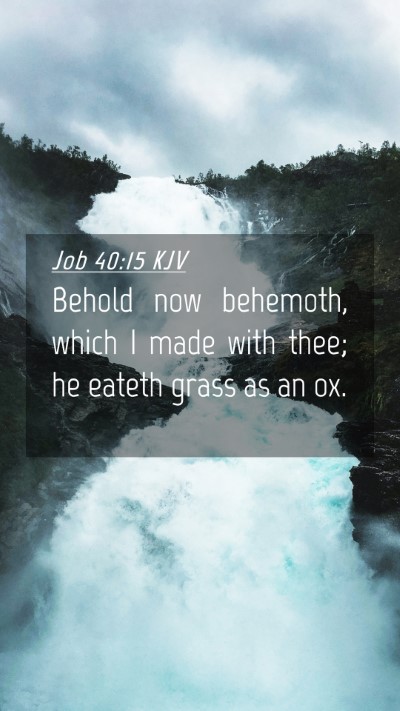 Picture 04 - Job 40:15 KJV Mobile Phone Wallpaper - Behold now behemoth, which I made with thee; he - Mobile Bible Verse Wallpaper