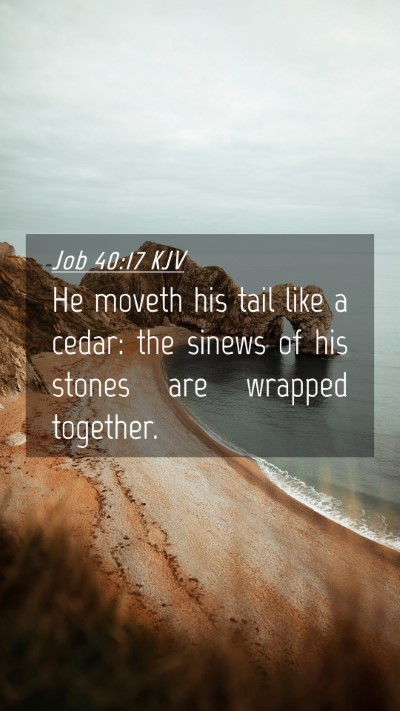 Picture 04 - Job 40:17 KJV Mobile Phone Wallpaper - He moveth his tail like a cedar: the sinews of - Mobile Bible Verse Wallpaper