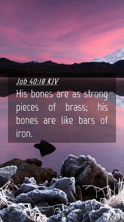 Picture 04 - Job 40:18 KJV Mobile Phone Wallpaper - His bones are as strong pieces of brass; his - Mobile Bible Verse Wallpaper