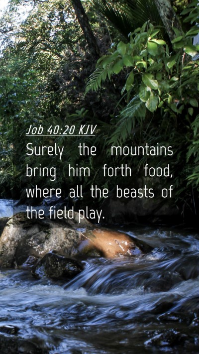 Picture 04 - Job 40:20 KJV Mobile Phone Wallpaper - Surely the mountains bring him forth food, where - Mobile Bible Verse Wallpaper