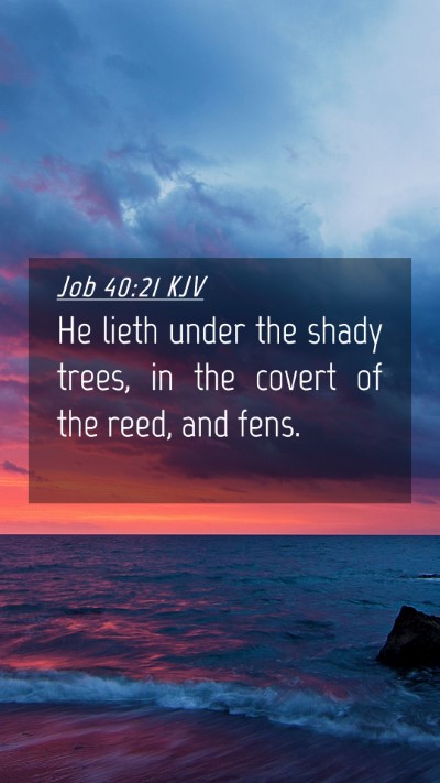 Picture 04 - Job 40:21 KJV Mobile Phone Wallpaper - He lieth under the shady trees, in the covert of - Mobile Bible Verse Wallpaper