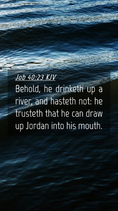 Picture 04 - Job 40:23 KJV Mobile Phone Wallpaper - Behold, he drinketh up a river, and hasteth not: - Mobile Bible Verse Wallpaper