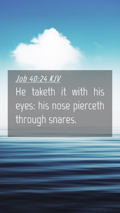 Picture 04 - Job 40:24 KJV Mobile Phone Wallpaper - He taketh it with his eyes: his nose pierceth - Mobile Bible Verse Wallpaper